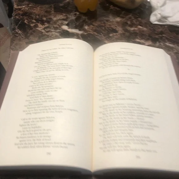 The Message the Old Testament Prophets by Peterson 2000 - Picture 15 of 15